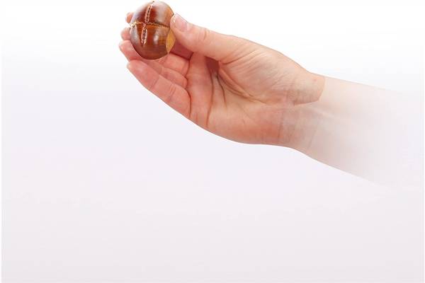 TESCOMA PINZA TAGLIA CASTAGNE "PRESTO" 