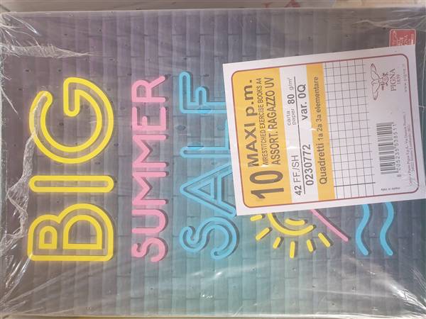 PIGNA QUADERNO RAGAZZO ASS RIG Q 