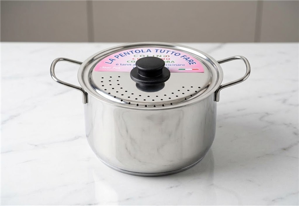 STEEL PAN PENTOLA TUTTOFARE CM.20 