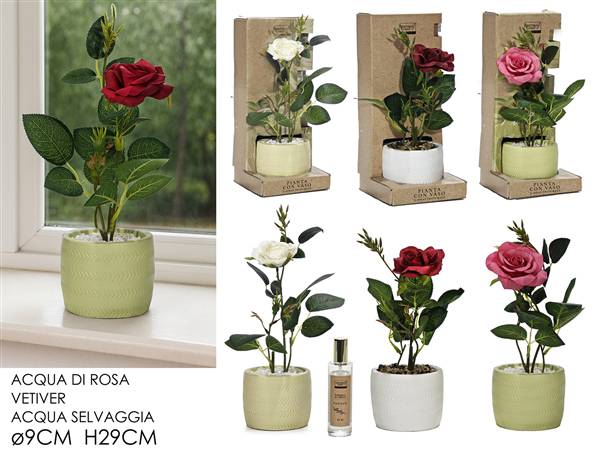 GT VASO PIANTA ROSA CON SPRAY 