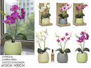 GT VASO PIANTA ORCHIDEA CON SPRAY 