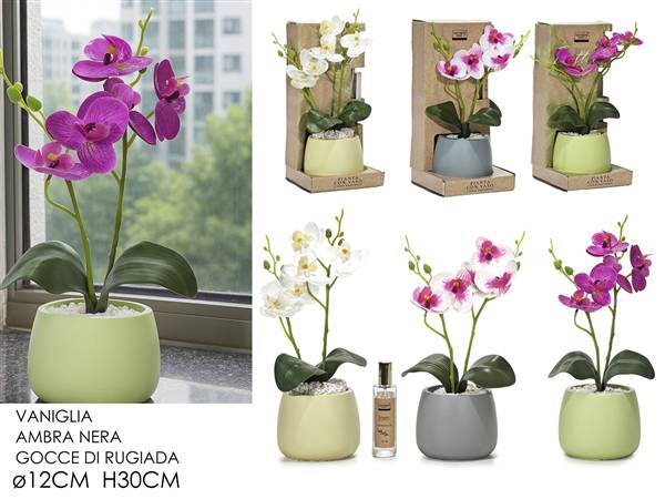 GT VASO PIANTA ORCHIDEA CON SPRAY 