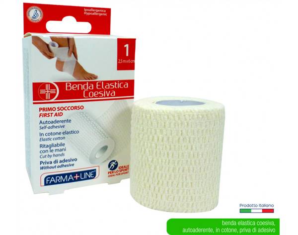 FARMALINE BENDA COESIVA 6CMX2,5 MT 