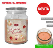 IRGE CANDELA 510GR ARANCIA E CANNELLA 