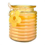IRGE CANDELA CITRONELLA 110GR VETRO ONDA 