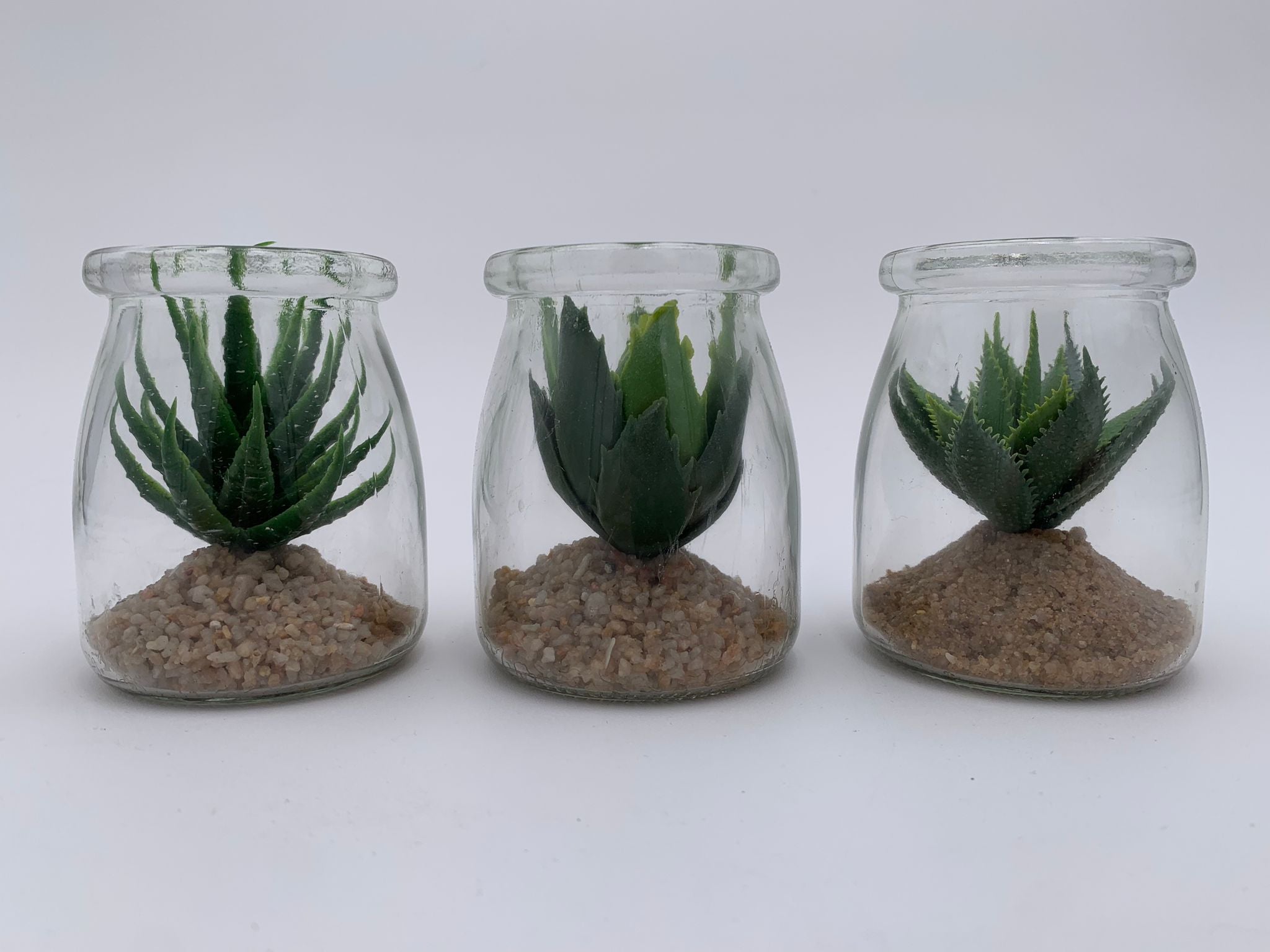 VEA PIANTA GRASSA MINI VASO VETRO DM.7X8