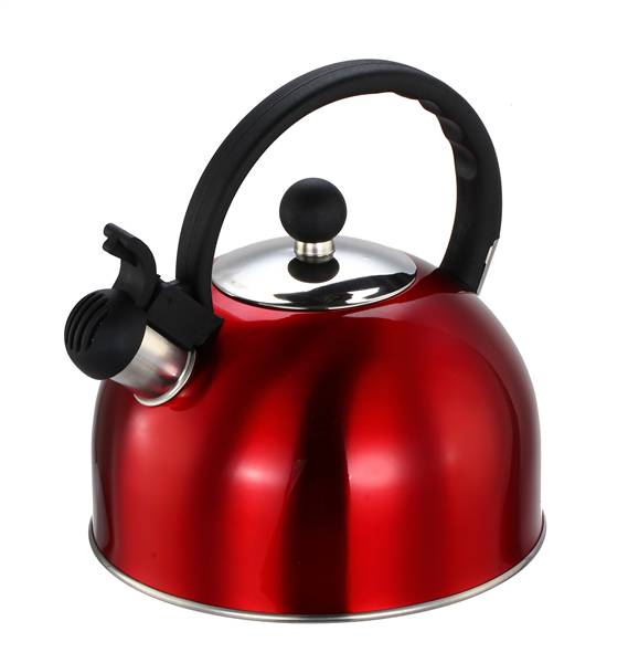 BORELLA BOLLITORE INOX STAR LT.3,0 22443 
