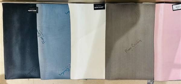 PIERRE CARDIN RUNNER GUIDA A MT. BIANCO 