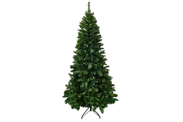 PARTENOPE ALBERO MONTE SATURNO 210CM 
