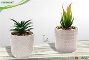 FGF VASO BIANCO CERAMICA C/PIANTINA 