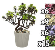 VEA PIANTINA VASO ROUND 14X7X18CM 4ASS. DEK 59628