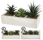 VEA PIANTA GRASSA 26X10X13CM GHA60517 