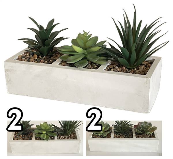 VEA PIANTA GRASSA 26X10X13CM GHA60517 