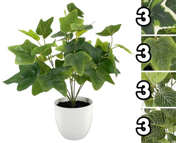 VEA PIANTINA TROPICAL IN VASO 41CM 62113 