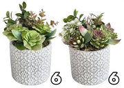 VEA VASO TILE 12X12X20 ZEF62143 