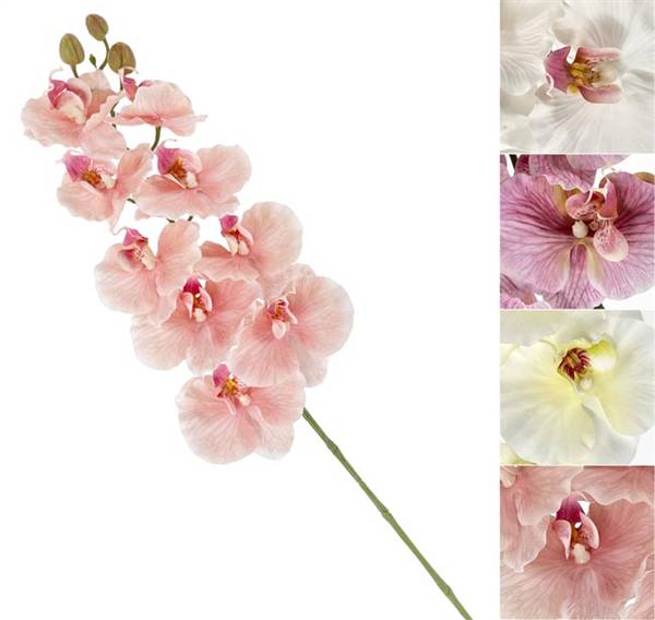 VEA ORCHIDEA SOFT STELO 100CM GIG62200 