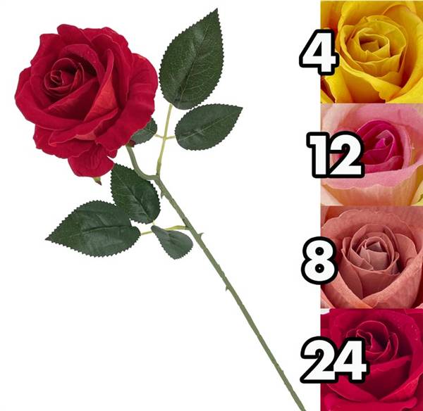 VEA ROSA SINGOLA ESSENCE TIG62695 4ASS 50CM