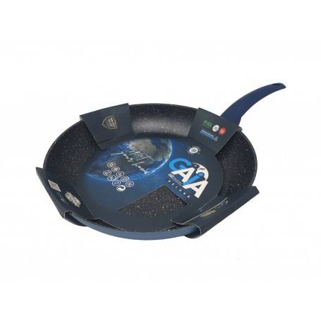 GMD GAIA DELUXE PADELLA CM.20 INDUZIONE 