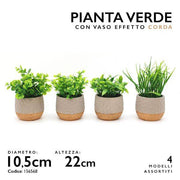 MMZ PIANTA VERDE DM.11 H.22 
