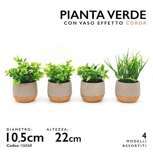 MMZ PIANTA VERDE DM.11 H.22 