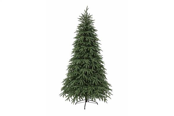 PARTENOPE ALBERO MACEDONIA DM.140 H.210 