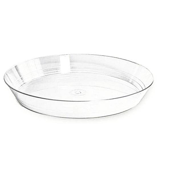 REAL DREAM VASSOIO BAVARESE CM.26 5PZ 