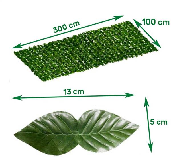 SIEPE EDERA SEMPREVERDE 1X3 MT 