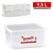 PLASTICFORTE CONTENITORE FROST 9,5LT TRASPARENTE N°8