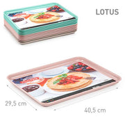 PLASTICFORTE VASSOIO LOTUS SURT VRM 