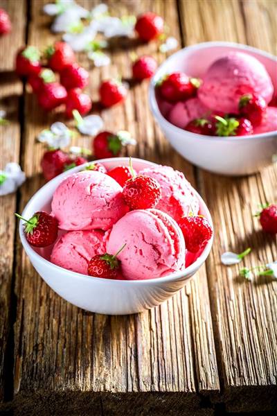 TESCOMA PORZIONATORE MECCANICO GELATO 