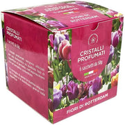 DLS CRISTALLI PROF 300GR FIORI DI ROTTER 
